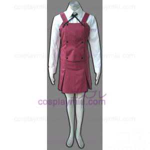 Hidamari Sketch Yamabuki School Girl Uniform Cosplay Costume