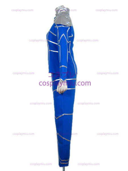 Fate/stay night Lancer cosplay costume