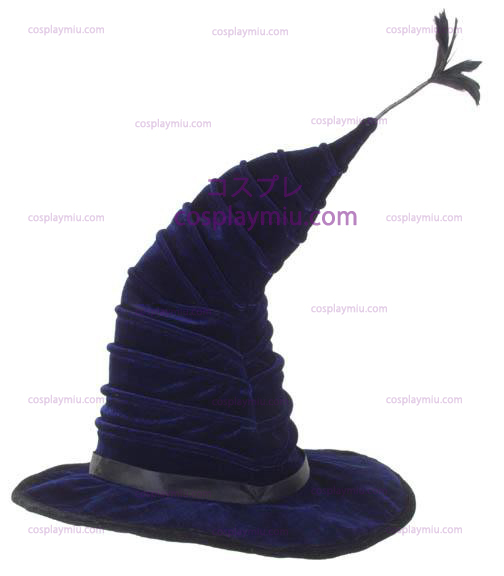 Harry Potter Madame Hooch Hat